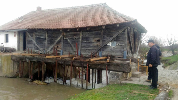 Чесница из Јолића воденице